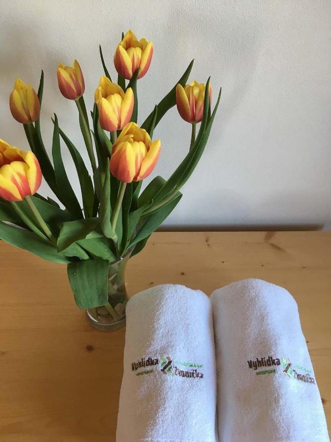 Horsky Apartman Vyhlidka Rejviz Zlaté Hory Eksteriør billede
